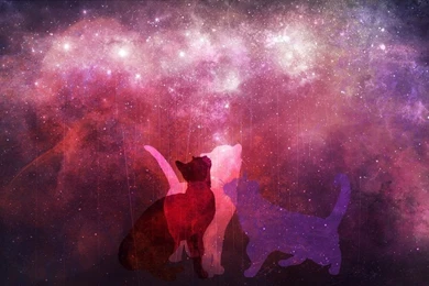 Cat   Space Wallpapers By Sand Rae On DeviantArt