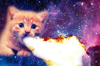 My Fire Breathing Space Cat   Imgur