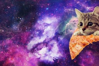 Space Pizza Cat   Imgur
