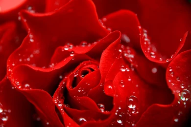 Love Archives   Page 14 Of 16   Free Wallpapers Full Hd 1080p, High ...