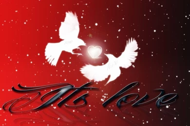 Love Me Wallpapers Full HD 1920X1080 By Worstkillerdesigns On ...