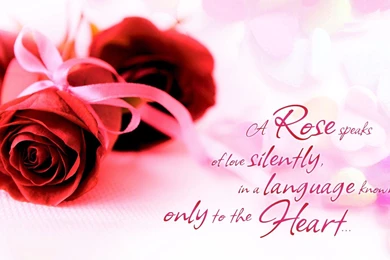 Beautiful Rose And Love Quotes Wallpapers Full