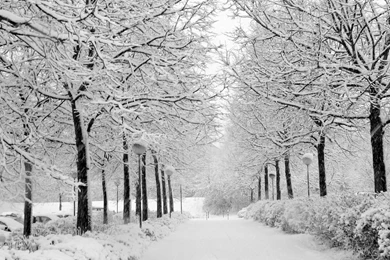 Winter Blackwhite Full HD 1080p Wallpapers   1630515