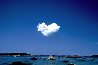 Nature Love Wallpapers Download 16435 Full Hd Wallpapers Desktop ...