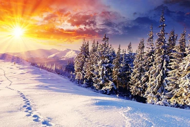 Winter Sunrise Wallpapers 1920x1080 (1080p)   Wallpapers   Wallpapers ...