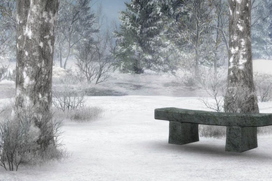 Winter Backgrounds Wallpapers