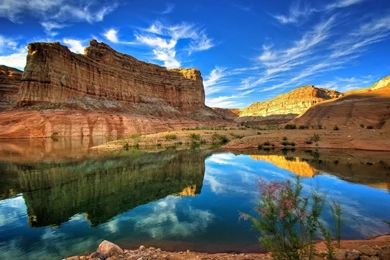 Grand Canyon Colorado River HD Desktop Mobile Wallpaper Backgrounds
