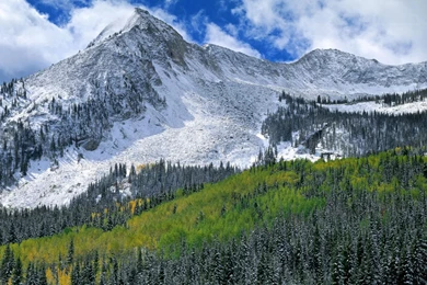 Winter, Wallpaper, Tree, Snow, Forest, Mountains, Images, Goodwp ...