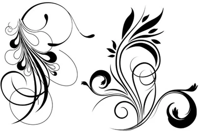 Floral Vector Design Your Top HD Wallpapers