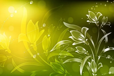 Green Floral Wallpapers Wide