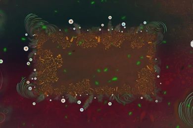 4K FLORAL FRAME Beautiful Flowers Antique Arcylic Dry Brush ...