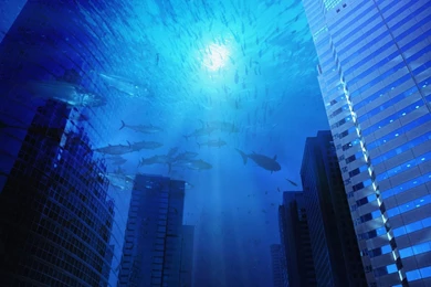 Hd Wallpapers Underwater City Backgrounds Wallpapers For Your ...
