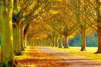 Beautiful Scenery Backgrounds