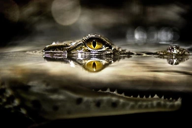 HD Wallpapers Source Page 449 Of 489 100% Quality HD Desktop ...