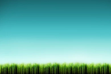 Grass Wallpapers