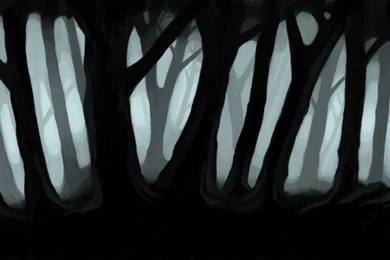 Forest Backgrounds   1306583