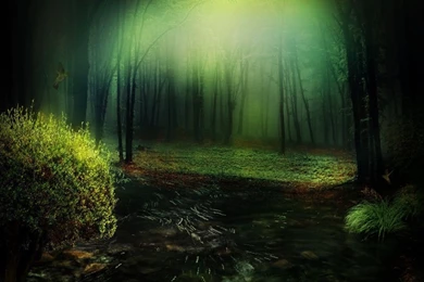Forest Backgrounds 1 By Nova63 On DeviantArt