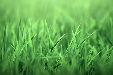 Hd Wallpapers Download 122134