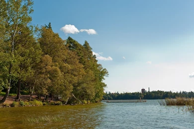 Cool Forest Backgrounds