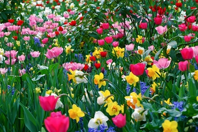 33 Beautiful Full HD Wallpapers