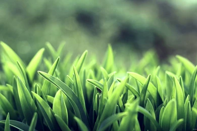 Lake In Mountains Hd Wallpapers