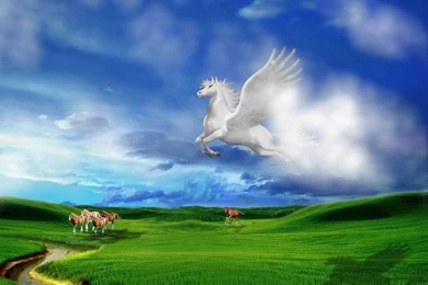3D Nature Horses Wallpapers.jpg