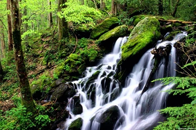 Amazing Nature Pictures [HD 1080p]   YouTube