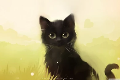 Savage Cat HD Desktop Wallpapers : High Definition : Fullscreen ...