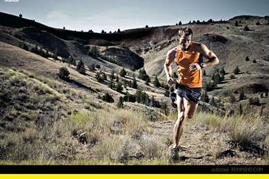 15 Free Adidas Wallpaper Backgrounds Shoefindr