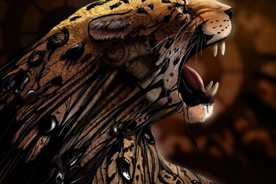 A Stunning Tiger Wallpapers