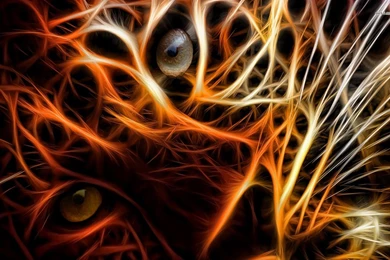 Neon Tiger Wallpapers   Digital Art Wallpapers