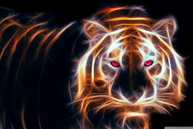 Glowing Tiger HD Desktop Wallpapers : Widescreen : High Definition ...