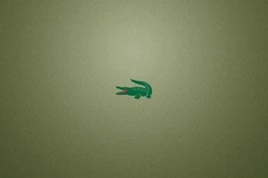 Lacoste Logo Crocodile Hd Wallpapers
