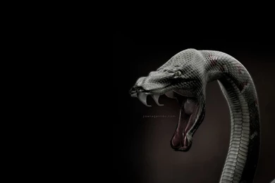 Fantasy Art Design Wallpapers: Modern 3d Art Dark Fantasy Artist