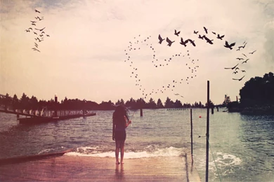 Hillsong United 2015 Wallpapers