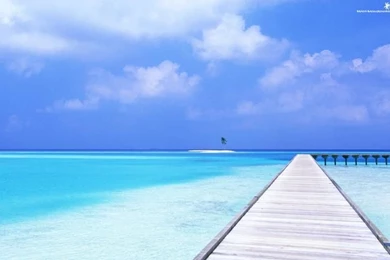 Blue,water Water Blue Ocean Sand Trees Dock Palm Skyscapes ...
