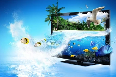 1024x768 3d TV Fish Wallpapers