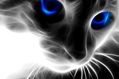 Photo Albums Wallpapers