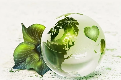 Free Wallpapers   Free Art Wallpapers   3D Desktop Wallpapers 5 ...