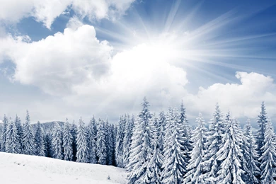 Winter Morning Broken Snow Backgrounds Pictures ~ Winter For High ...