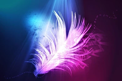 Free Download Mini iPad HD Wallpapers (117)