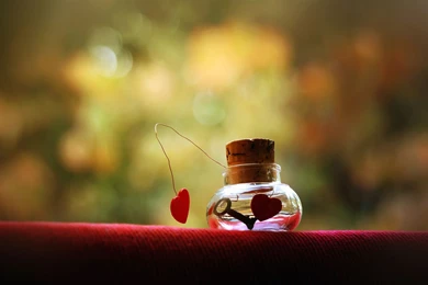 Most Popular HD Wallpapers   Page 3