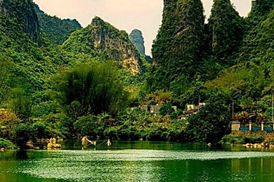 1080x1920 Tree Grass Sky Nature Lake Wallpapers HD