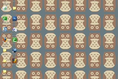 My New Desktop Background... OWLS!   Ninja Pirates Photo (8127060 ...
