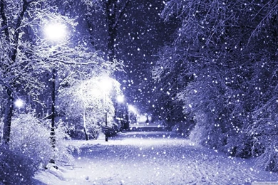 Winter Night HD Desktop Wallpapers : Mobile : Dual Monitor