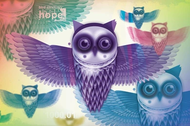 Download Wallpapers 2560x1600 Owls, Birds, Feathers, Light ...