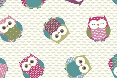 Owls Wallpaper/Backgrounds