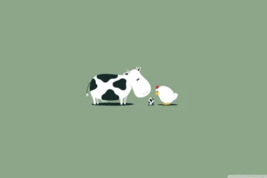 Funny Cow Egg HD Desktop Wallpapers : Widescreen : High Definition ...