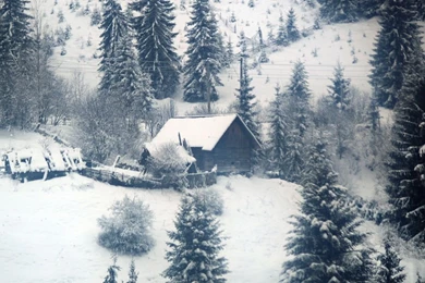 1366x768 Winter Desktop PC And Mac Wallpapers