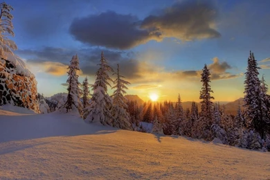 Mount Rainier National Park Winter Sunset Wallpapers   1366x768 ...